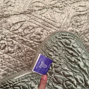 Pine Cone Hill Velvet Coverlet Bedspread QUEEN Village Green
